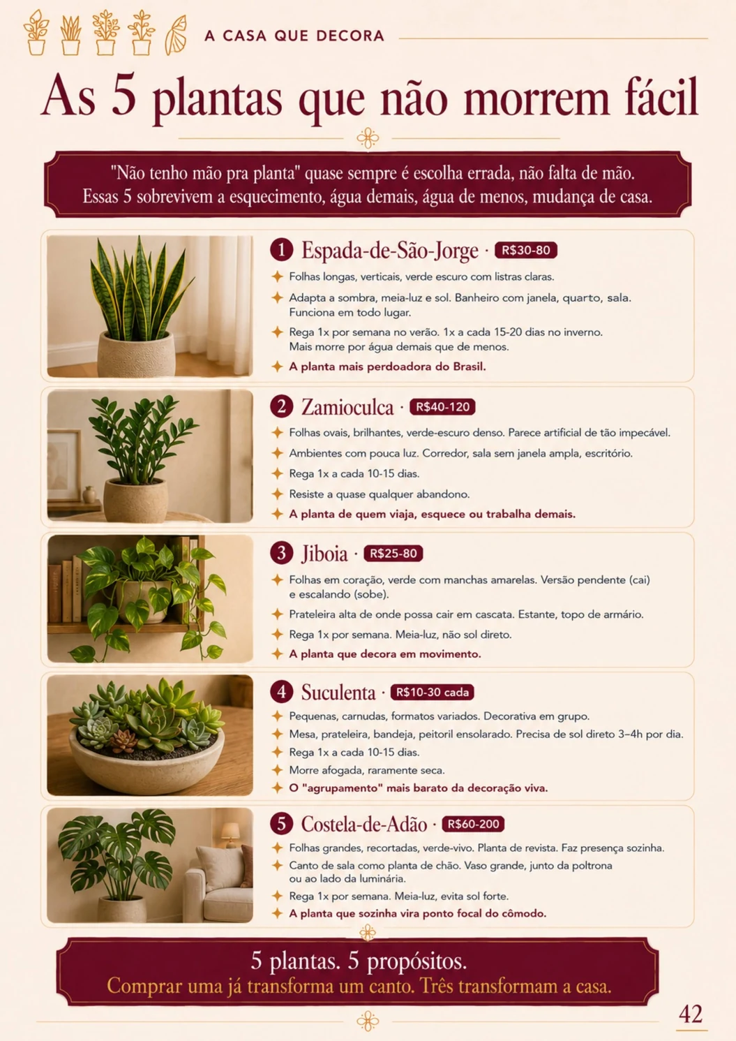 Página real do ebook Dra. Maravilha: As 5 plantas que não morrem fácil